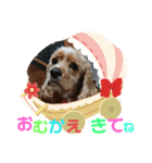 アメコカりろ②（個別スタンプ：3）
