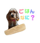 アメコカりろ②（個別スタンプ：9）