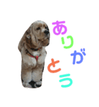 アメコカりろ②（個別スタンプ：19）