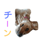 アメコカりろ②（個別スタンプ：23）