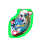 いろんなちょこちゃん（個別スタンプ：3）