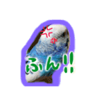 いろんなちょこちゃん（個別スタンプ：5）