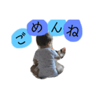 かいじゅうまんの日常2（個別スタンプ：4）