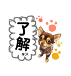 つかさちゃんスタンプ☆（個別スタンプ：15）