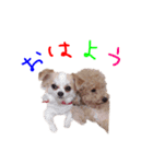 アクアとマリンのスタンプ（個別スタンプ：1）