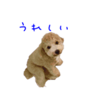 アクアとマリンのスタンプ（個別スタンプ：9）
