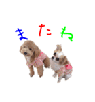 アクアとマリンのスタンプ（個別スタンプ：11）