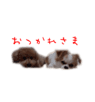 アクアとマリンのスタンプ（個別スタンプ：16）