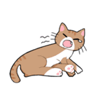 ぐだらねこず（個別スタンプ：2）