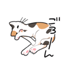 ぐだらねこず（個別スタンプ：5）