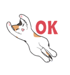 ぐだらねこず（個別スタンプ：13）