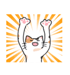 ぐだらねこず（個別スタンプ：30）
