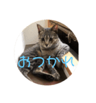 ぼんたんの毎日（個別スタンプ：10）