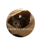 ぼんたんの毎日（個別スタンプ：13）