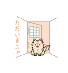 動く！モフふわにゃんこ（個別スタンプ：13）