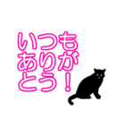シンプル黒猫☆家族専用▷でか文字（個別スタンプ：16）