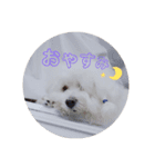 まるぷーななさん。（個別スタンプ：7）