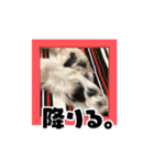 リンゴさんスタンプ パート3（個別スタンプ：1）