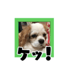 リンゴさんスタンプ パート3（個別スタンプ：6）