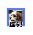 リンゴさんスタンプ パート3（個別スタンプ：12）