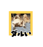 リンゴさんスタンプ パート3（個別スタンプ：13）