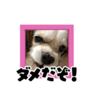 リンゴさんスタンプ パート3（個別スタンプ：16）