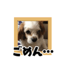 リンゴさんスタンプ パート3（個別スタンプ：18）
