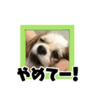 リンゴさんスタンプ パート3（個別スタンプ：20）