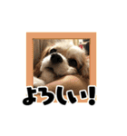 リンゴさんスタンプ パート3（個別スタンプ：22）