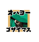 リンゴさんスタンプ パート3（個別スタンプ：27）
