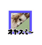 リンゴさんスタンプ パート3（個別スタンプ：30）