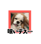 リンゴさんスタンプ パート3（個別スタンプ：32）