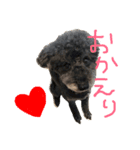 トールのきもち（個別スタンプ：4）