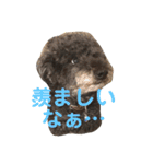 トールのきもち（個別スタンプ：5）