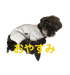 トールのきもち（個別スタンプ：8）