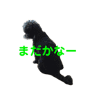 トールのきもち（個別スタンプ：10）