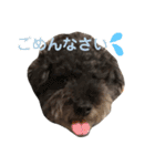 トールのきもち（個別スタンプ：11）