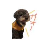 トールのきもち（個別スタンプ：12）