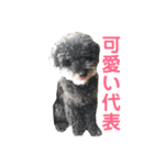 トールのきもち（個別スタンプ：13）