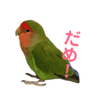 トールのきもち（個別スタンプ：22）