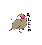ゆるく使える動物さんたち（個別スタンプ：14）