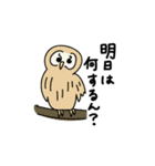 ゆるく使える動物さんたち（個別スタンプ：24）