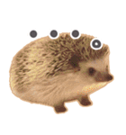 ハリネズミ（ぼんたぬき）（個別スタンプ：7）