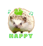 ハリネズミ（ぼんたぬき）（個別スタンプ：8）