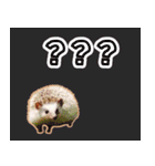 ハリネズミ（ぼんたぬき）（個別スタンプ：14）