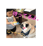 わんちゃん仲間といっしょ（個別スタンプ：4）