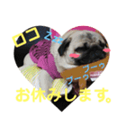 わんちゃん仲間といっしょ（個別スタンプ：10）