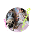 わんちゃん仲間といっしょ（個別スタンプ：13）