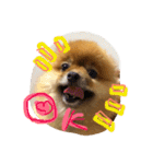 わたち、はなちゃん（個別スタンプ：15）