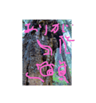龍神サマ❗️（個別スタンプ：8）